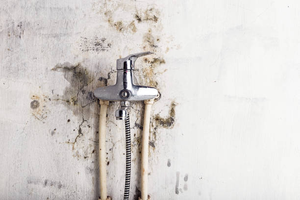 Best Post-Flood Mold Remediation in Riva, MD