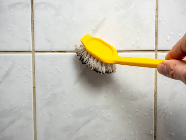 Best Mold Testing and Inspection Services in Riva, MD