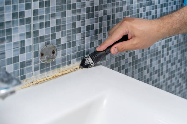 Best Commercial Mold Remediation in Riva, MD